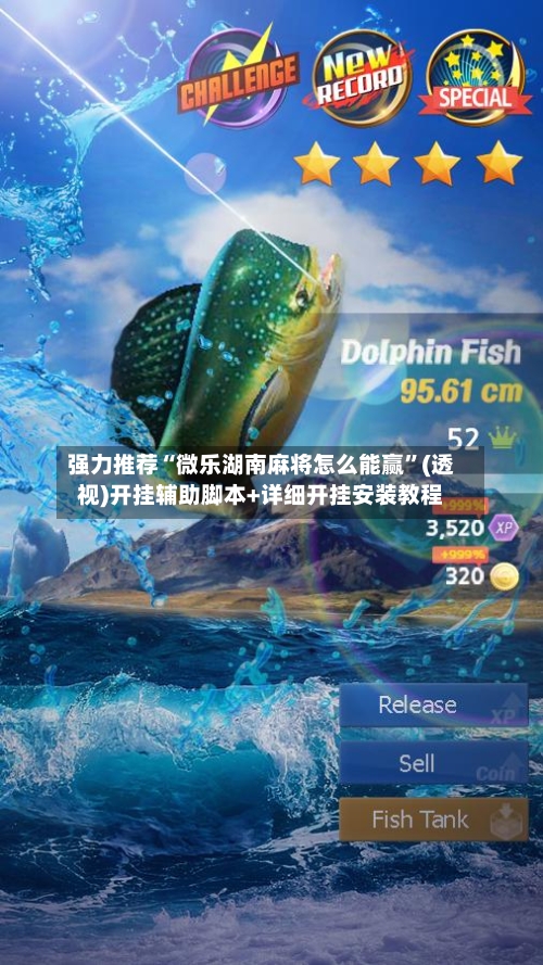 强力推荐“微乐湖南麻将怎么能赢”(透视)开挂辅助脚本+详细开挂安装教程