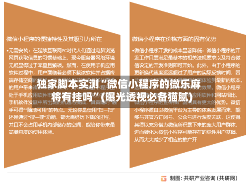 独家脚本实测“微信小程序的微乐麻将有挂吗”(曝光透视必备猫腻)