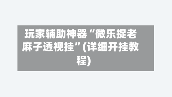 玩家辅助神器“微乐捉老麻子透视挂”(详细开挂教程)