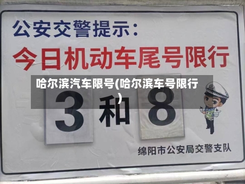 哈尔滨汽车限号(哈尔滨车号限行)