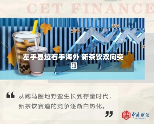 左手县域右手海外 新茶饮双向突围