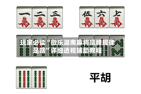 玩家必读“微乐湖南麻将赢牌规律是啥”详细透视辅助教程