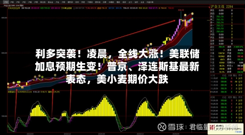 利多突袭！凌晨，全线大涨！美联储加息预期生变！普京、泽连斯基最新表态，美小麦期价大跌-第1张图片