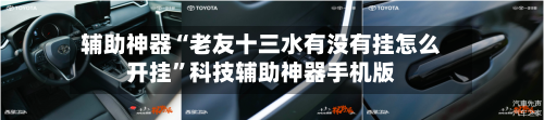辅助神器“老友十三水有没有挂怎么开挂”科技辅助神器手机版