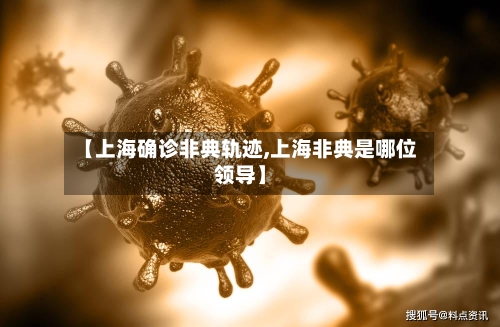 【上海确诊非典轨迹,上海非典是哪位领导】