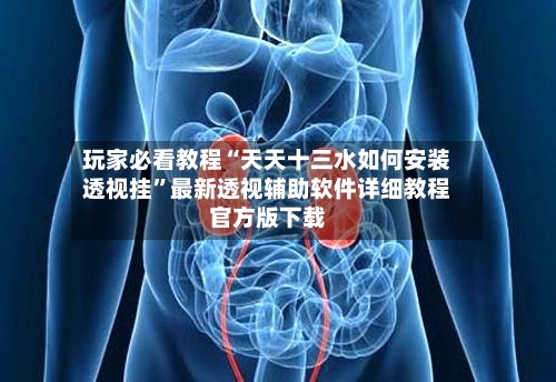 玩家必看教程“天天十三水如何安装透视挂”最新透视辅助软件详细教程官方版下载