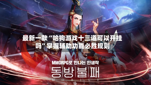 最新一款“哈狗游戏十三道可以开挂吗”掌握辅助功能必胜规则