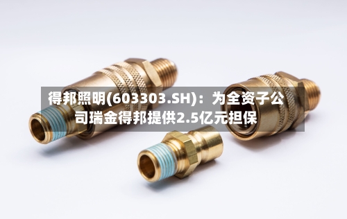 得邦照明(603303.SH)：为全资子公司瑞金得邦提供2.5亿元担保
