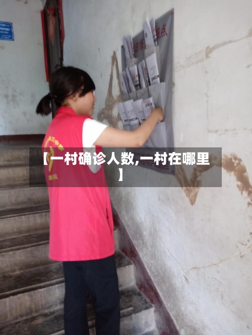 【一村确诊人数,一村在哪里】