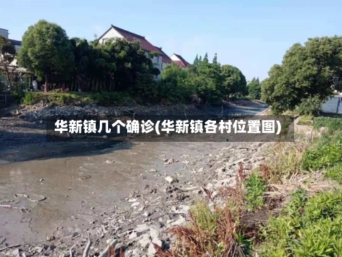 华新镇几个确诊(华新镇各村位置图)