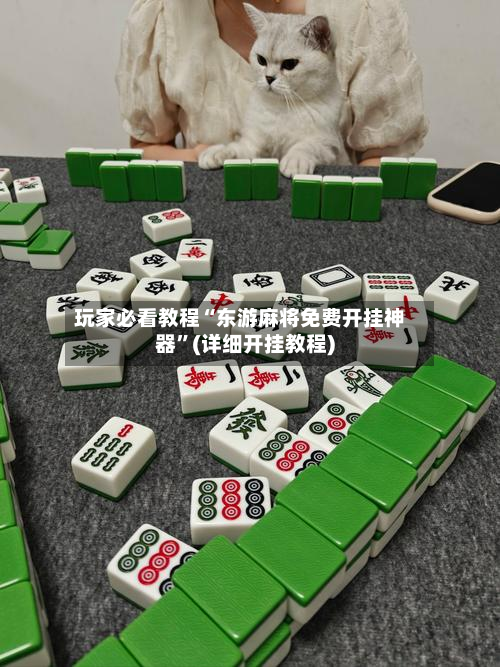 玩家必看教程“东游麻将免费开挂神器”(详细开挂教程)