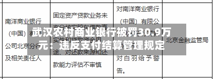 武汉农村商业银行被罚30.9万元：违反支付结算管理规定