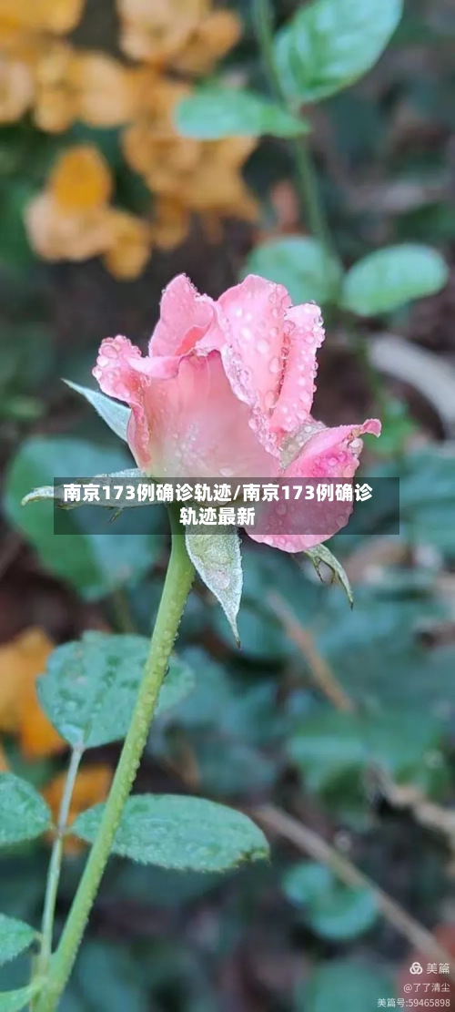 南京173例确诊轨迹/南京173例确诊轨迹最新