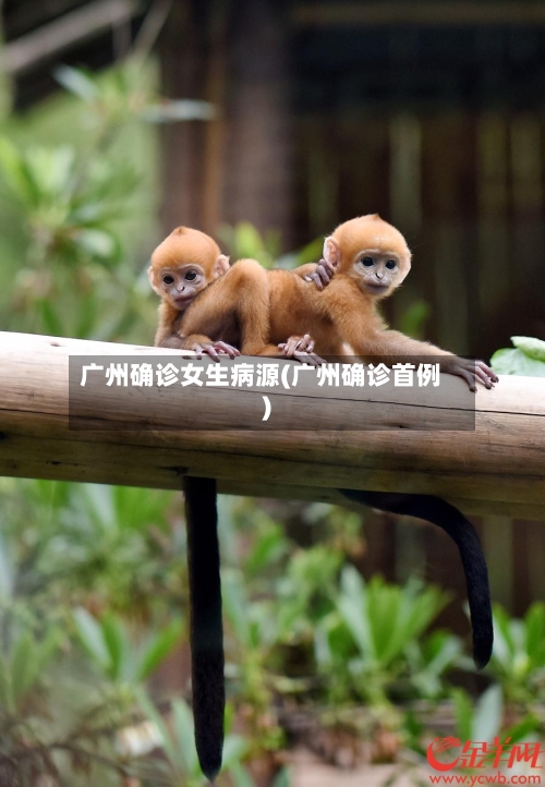 广州确诊女生病源(广州确诊首例)
