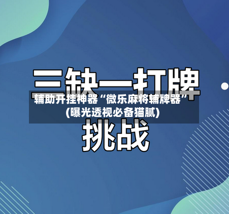 辅助开挂神器“微乐麻将辅牌器”(曝光透视必备猫腻)