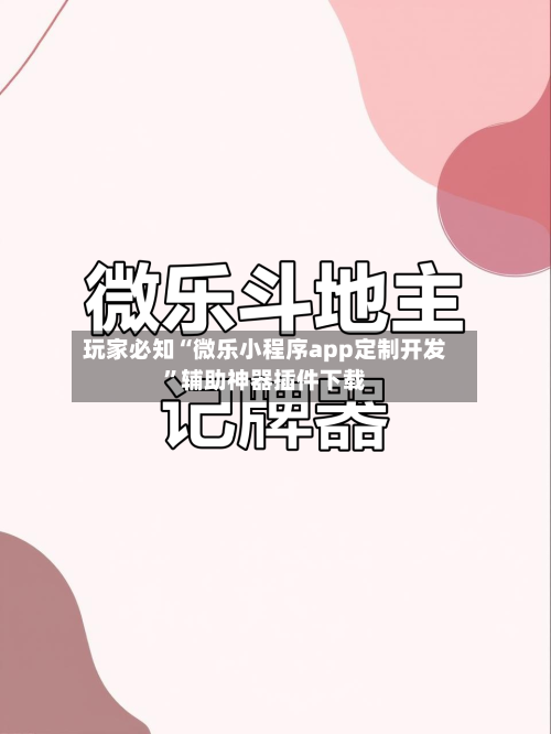 玩家必知“微乐小程序app定制开发”辅助神器插件下载