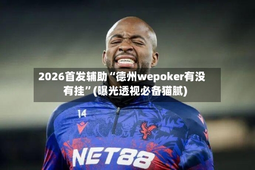 2026首发辅助“德州wepoker有没有挂”(曝光透视必备猫腻)