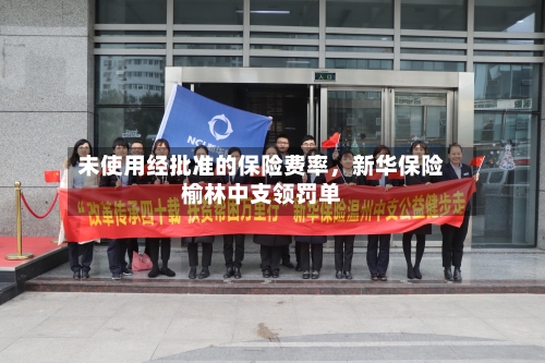 未使用经批准的保险费率，新华保险榆林中支领罚单