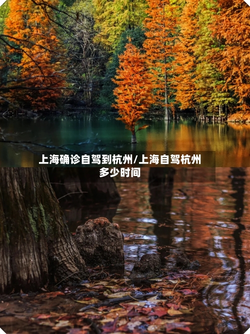 上海确诊自驾到杭州/上海自驾杭州多少时间