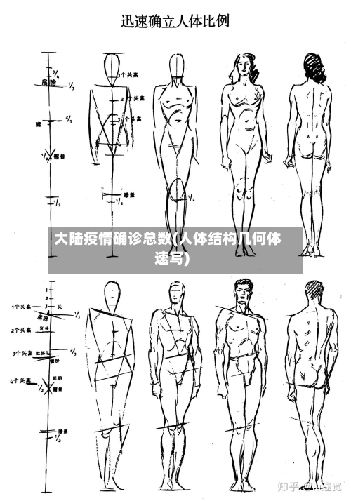 大陆疫情确诊总数(人体结构几何体速写)