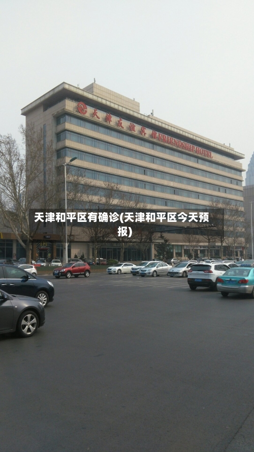 天津和平区有确诊(天津和平区今天预报)
