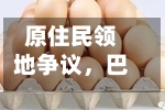 原住民领地争议，巴西大型锂矿项目被迫停工