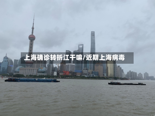 上海确诊转折江干嘛/近期上海病毒