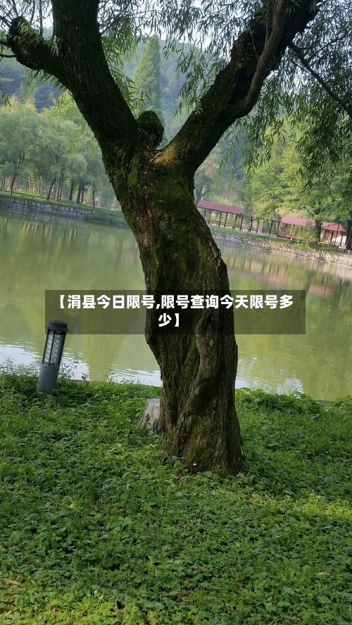 【涓县今日限号,限号查询今天限号多少】