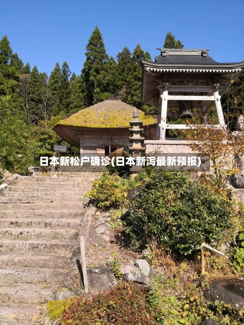 日本新松户确诊(日本新泻最新预报)