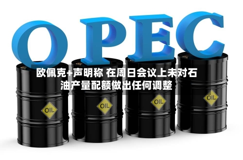 欧佩克+声明称 在周日会议上未对石油产量配额做出任何调整