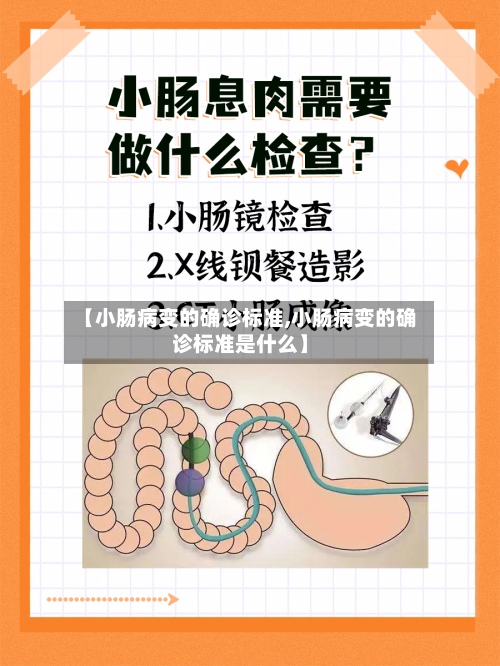 【小肠病变的确诊标准,小肠病变的确诊标准是什么】