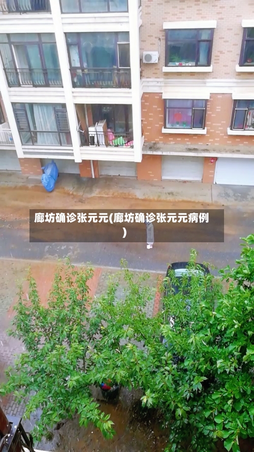 廊坊确诊张元元(廊坊确诊张元元病例)