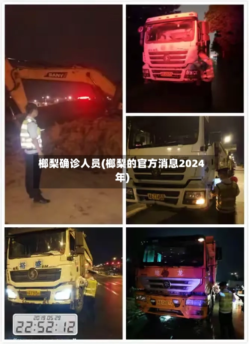 榔梨确诊人员(榔梨的官方消息2024年)