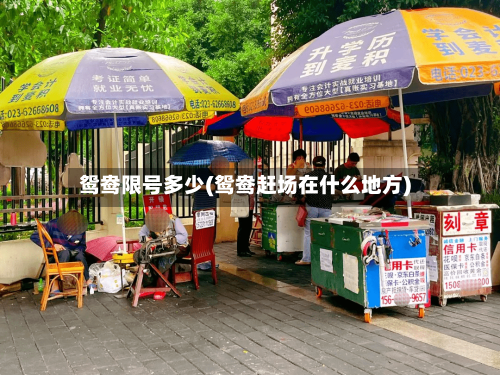 鸳鸯限号多少(鸳鸯赶场在什么地方)