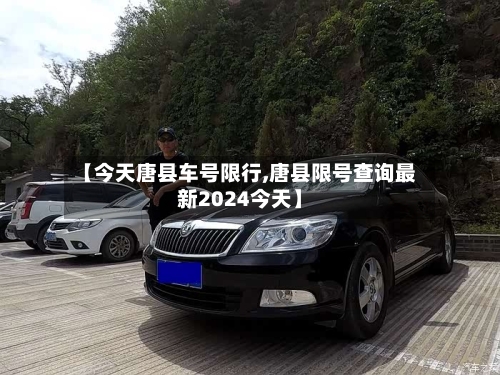 【今天唐县车号限行,唐县限号查询最新2024今天】
