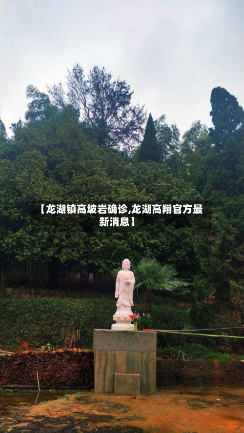 【龙湖镇高坡岩确诊,龙湖高翔官方最新消息】