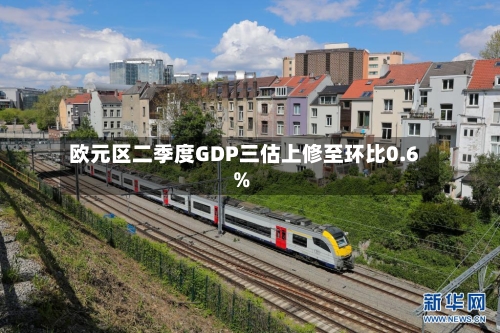 欧元区二季度GDP三估上修至环比0.6%