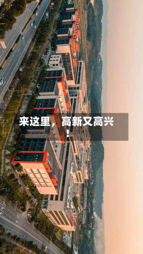来这里，高新又高兴！
