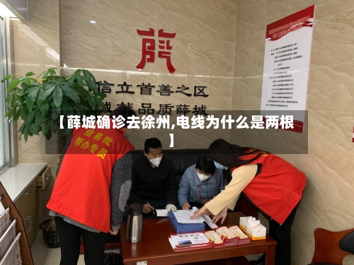【薛城确诊去徐州,电线为什么是两根】