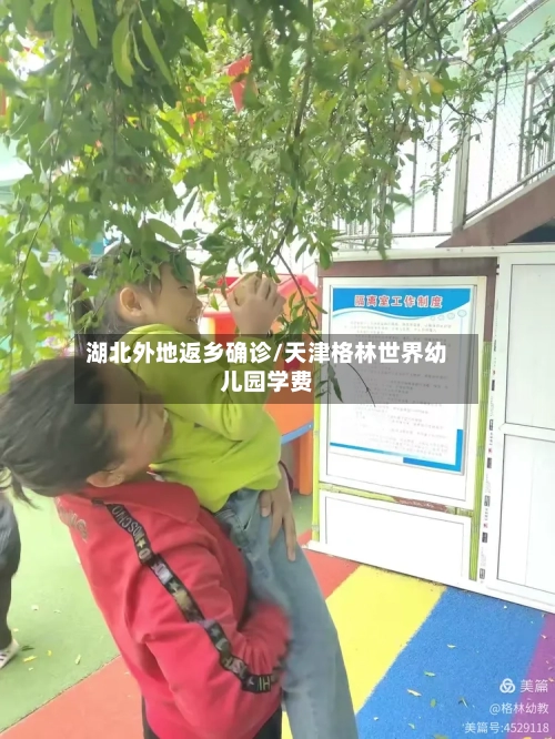 湖北外地返乡确诊/天津格林世界幼儿园学费