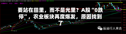 要站在田里，而不是光里？A股“0跌停”，农业板块再度爆发，原因找到了