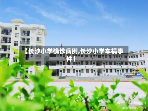 【长沙小学确诊病例,长沙小学车祸事件】