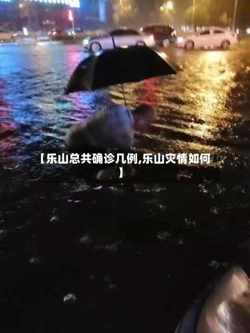 【乐山总共确诊几例,乐山灾情如何】
