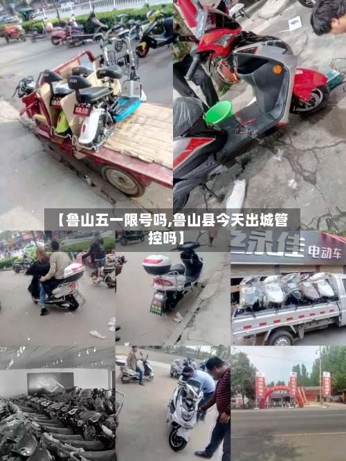 【鲁山五一限号吗,鲁山县今天出城管控吗】