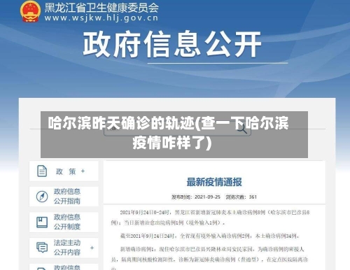 哈尔滨昨天确诊的轨迹(查一下哈尔滨疫情咋样了)