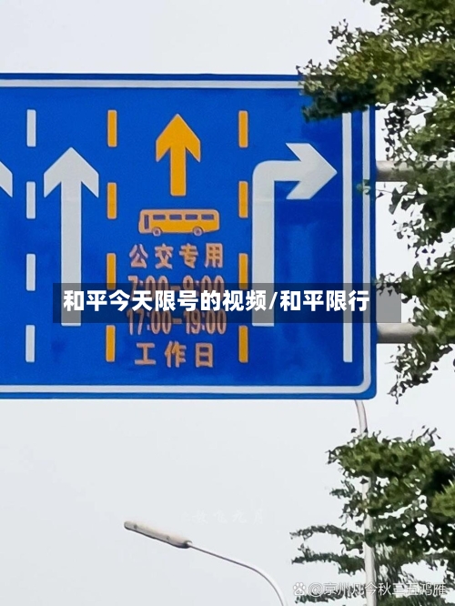 和平今天限号的视频/和平限行