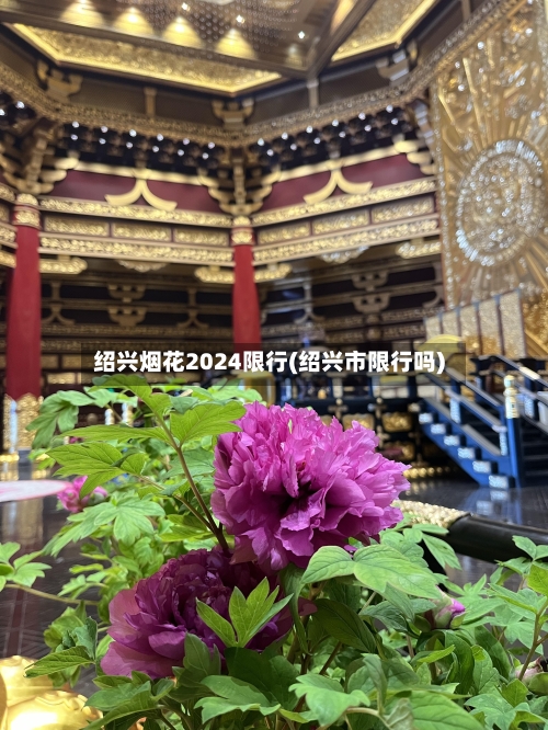 绍兴烟花2024限行(绍兴市限行吗)