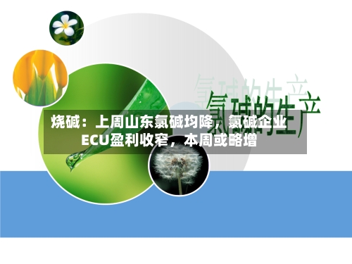 烧碱：上周山东氯碱均降	，氯碱企业ECU盈利收窄，本周或略增-第1张图片