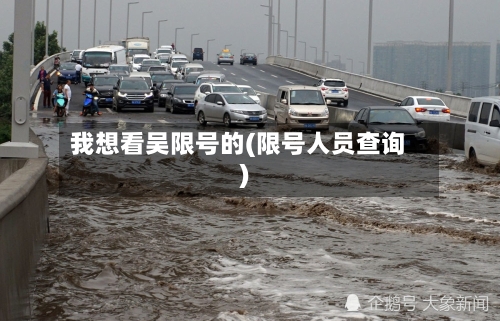 我想看吴限号的(限号人员查询)