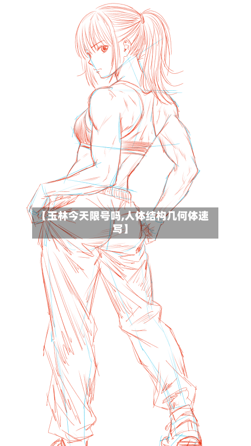 【玉林今天限号吗,人体结构几何体速写】